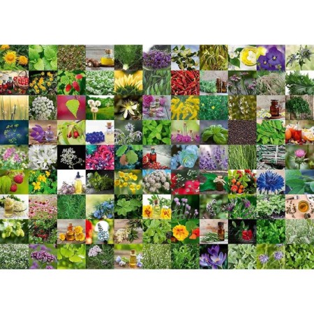 Puzzle 99 De Plante Si Condimente, 1000 Piese Ravensburger - 1